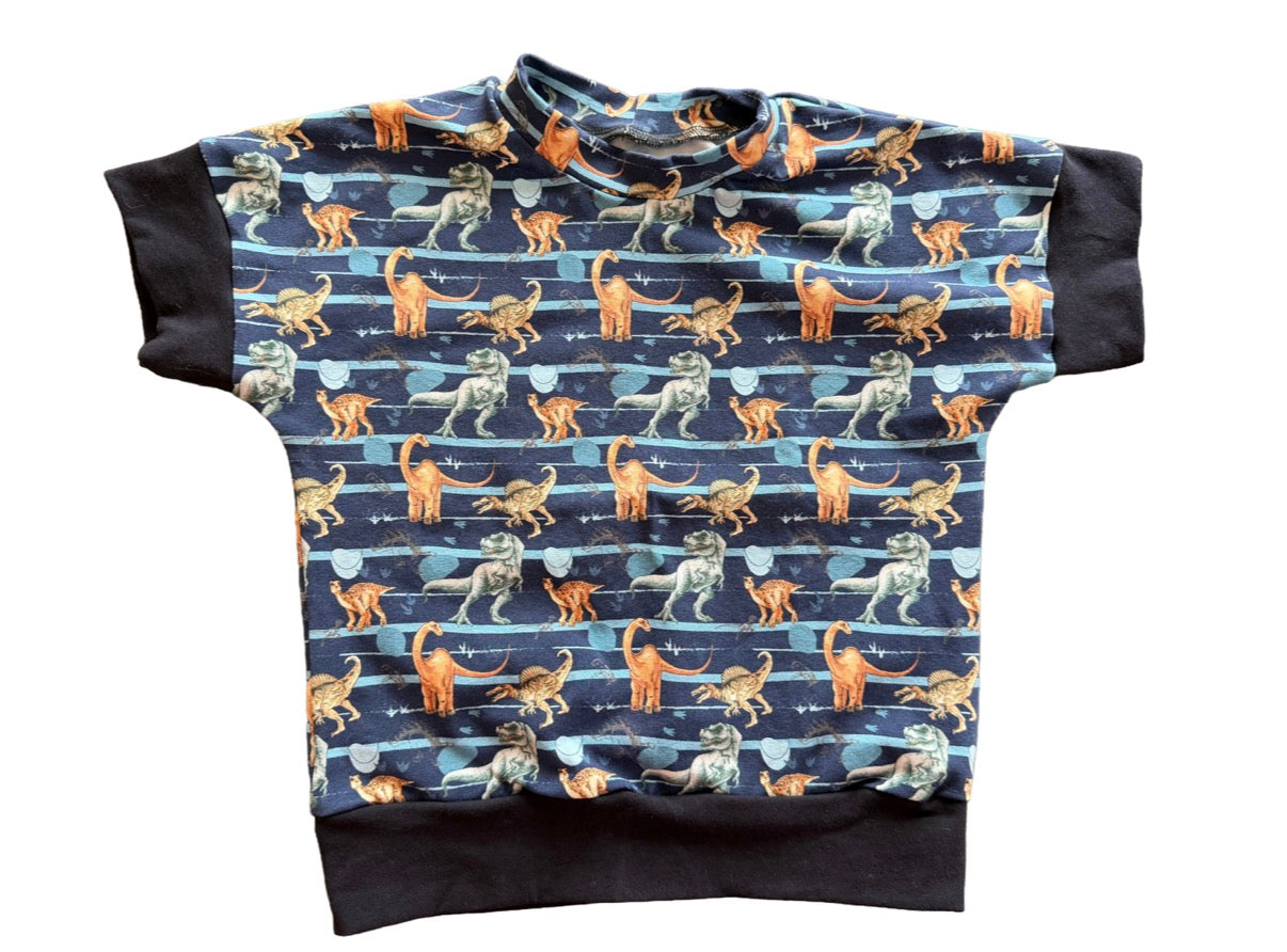 Dinosaurs Grow with me 12m-3t Dolman shirt