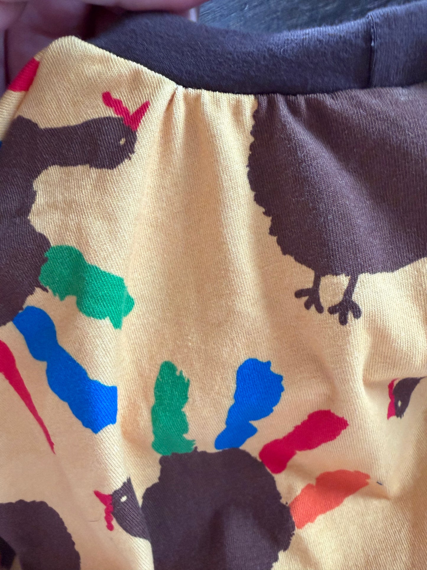 Thanksgiving Handprint Turkeys Grow with me 6-9yr Dolman shirt