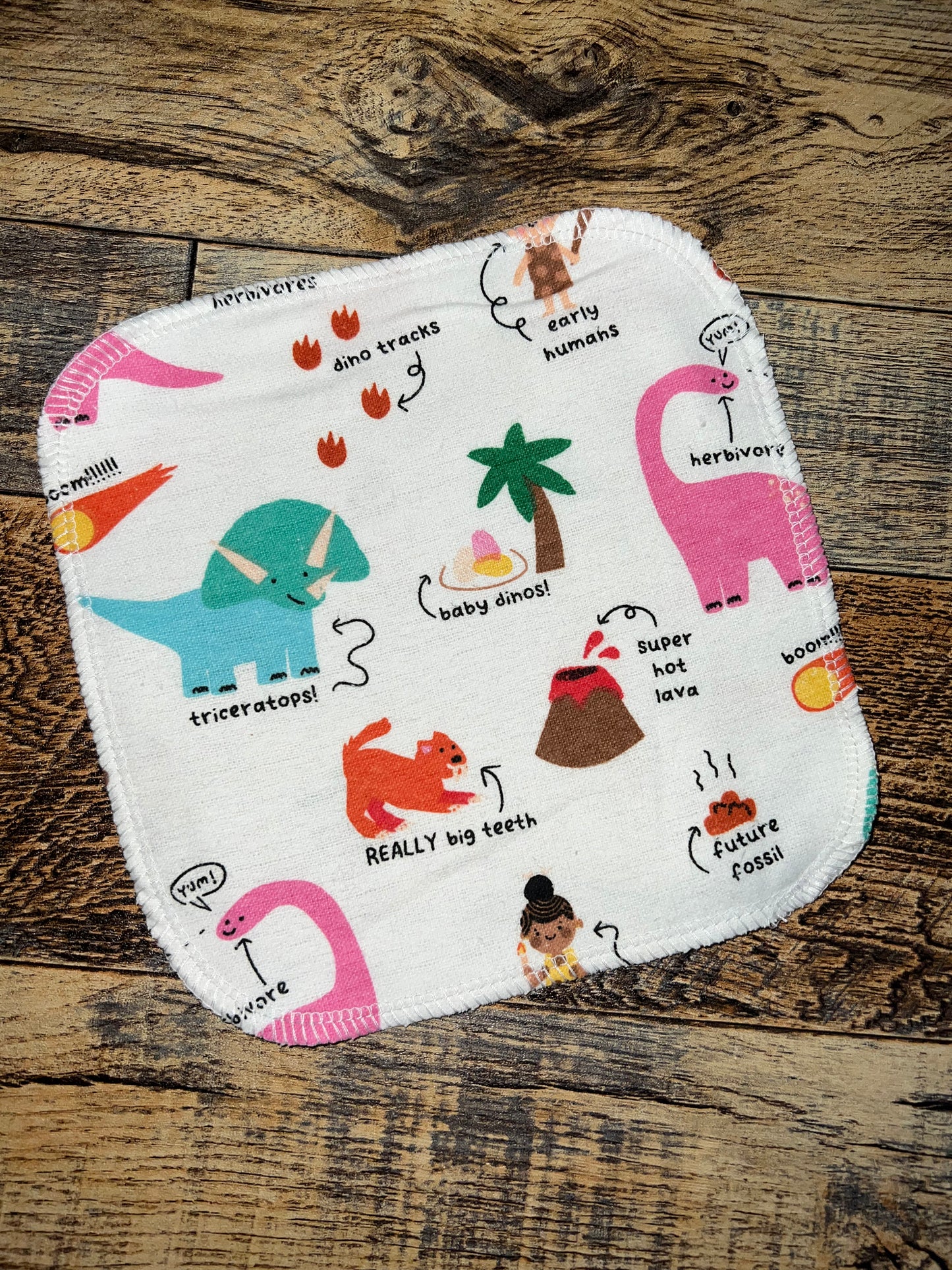 Dinosaur kids 2ply flannel cloth wipes