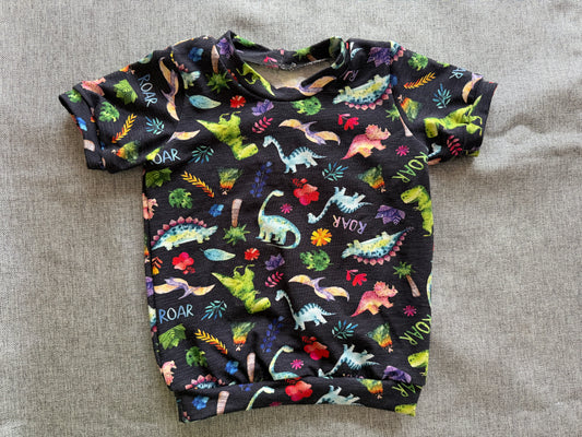 Dinosaurs 12-18m Tshirt