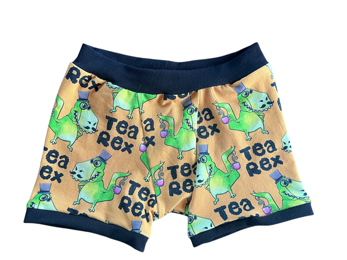 Tea Rex 6Y kids Underwear Boxer Briefs