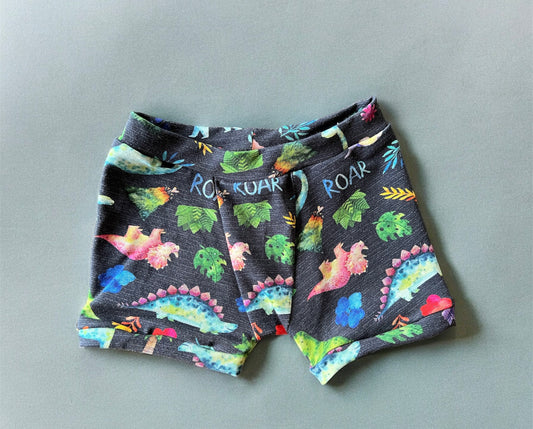 Discount Dinosaur Boxers 6-12m kids Underwear