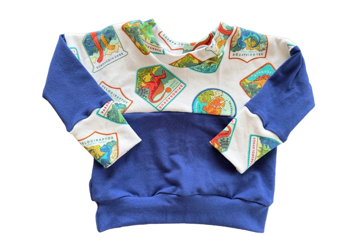 Dinosaurs Patches Grow with me 0-6m Dolman shirt