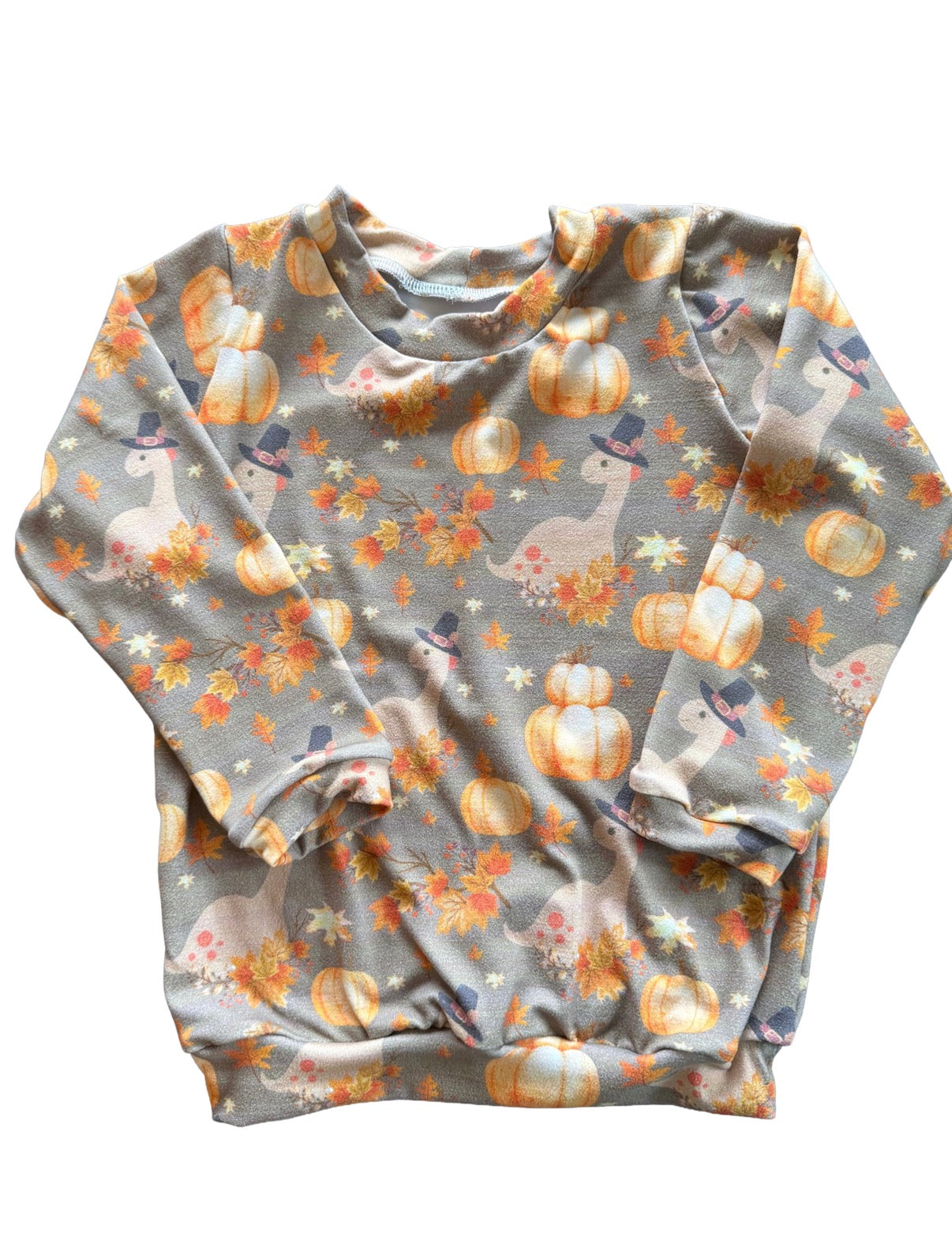 Thanksgiving Pilgrim Dino Longsleeve Shirt 2/3t