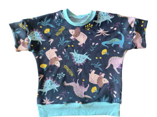 Dinosaurs Grow with me 12m-3t Dolman shirt