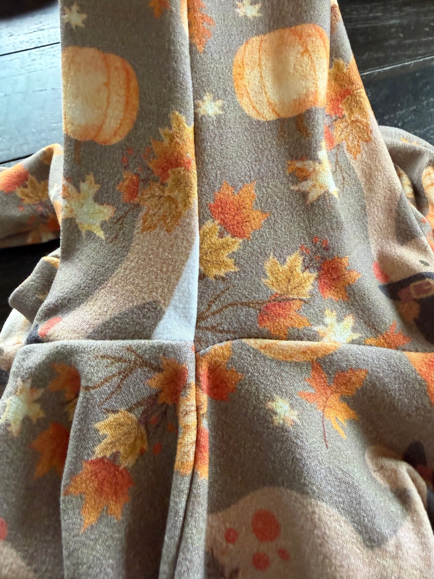 Thanksgiving Pilgrim Dino Longsleeve Shirt 2/3t