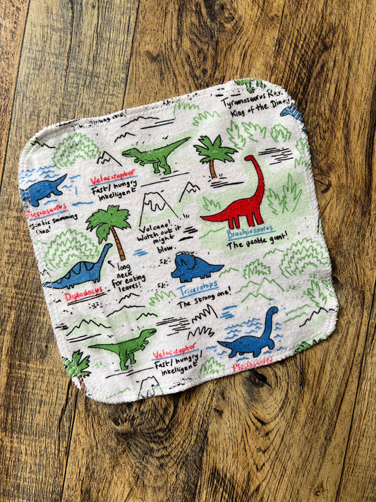 Dinosaur Map 2ply flannel cloth wipes